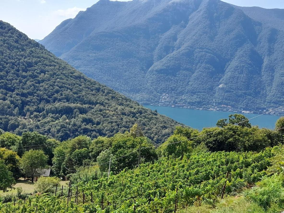 Cascina Teresina Villa Veleso Eksteriør billede